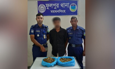 ফুলপুরে ২ কেজি গাঁজাসহ মাদক কারবারি গ্রেপ্তার