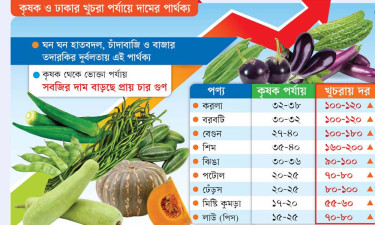 হাতবদলে সবজির দাম ৪ গুণ
