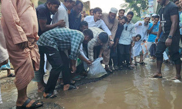 সড়কে মাছের পোনা ছেড়ে প্রতিবাদ হাসনাত আবদুল্লাহর