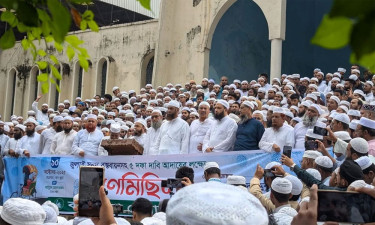 জুলাই সনদের আইনি ভিত্তি বাংলাদেশের বাঁচা–মরার প্রশ্ন: মামুনুল হক