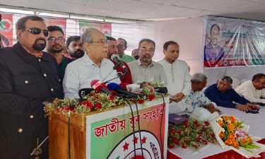 দেশের মানুষ বিশ্বাস করে না ফেব্রুয়ারিতে নির্বাচন হবে: ব্যারিস্টার আনিস