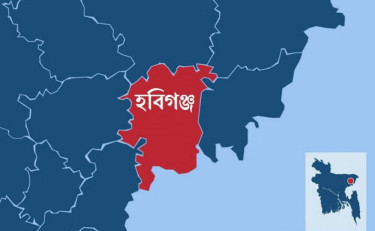 মাদক সেবনে বাধা দেওয়ায় বড় ভাইয়ের হাতে ছোট ভাই খুন