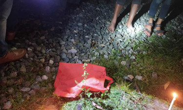 শপিং ব্যাগে নবজাতকের মরদেহ, খোঁজ মিলল কুকুরের ডাকে