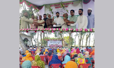 পরিবেশের ভারসাম্য রক্ষায় নীলফামারীতে বৃক্ষরোপণ কর্মসূচি পালিত