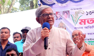 দেশ বাঁচাতে দ্রুত নির্বাচন দরকার: মির্জা ফখরুল