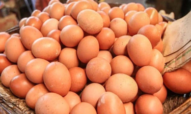 দাম বেড়েছে ডিমের, সবজির বাজারও চড়া