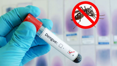 ডেঙ্গুতে আক্রান্ত ৬০ হাজার ছুঁই ছুঁই