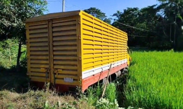 রাউজানে কাভার্ড ভ্যান-অটোরিকশা সংঘর্ষে নিহত ১, আহত ৩