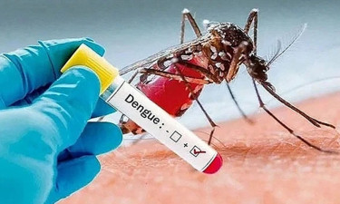 চলতি বছরে ডেঙ্গুতে মৃত্যু ২৫০ ছাড়াল