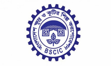 আয়োডিন জনিত রোগ নির্মূলে সচেতনতা অত্যাবশ্যক: বিসিকের সেমিনার