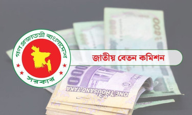 বেসরকারি চাকরিজীবীদের বেতন কাঠামো নিয়ে প্রস্তাবনা যাচ্ছে কমিশনে