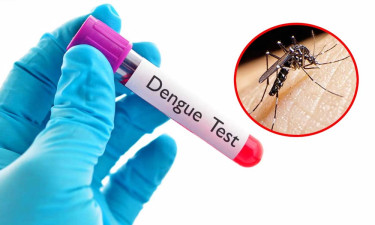 ডেঙ্গুতে আরও ২ জনের মৃত্যু