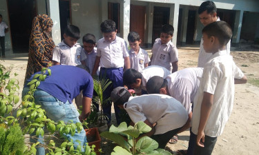 আখাউড়ায় বসুন্ধরা শুভসংঘের উদ্যোগে বিদ্যালয়ের শোভাবর্ধন