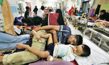 কমছে সংক্রমণ, ২৪ ঘণ্টায় ডেঙ্গুতে মৃত্যু নেই