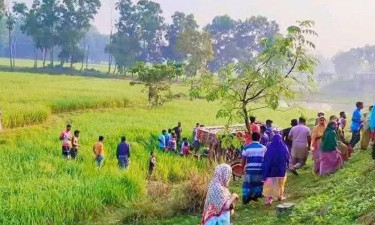 নওগাঁয় গরুবোঝাই ভটভটি উল্টে নিহত ২