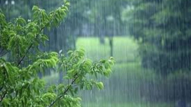 বৃষ্টি নিয়ে সুখবর দিলো আবহাওয়া অফিস