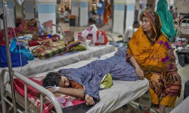 ডেঙ্গু আক্রান্ত হয়ে হাসপাতালে ভর্তি ৬৫৯, নেই নতুন মৃত্যু