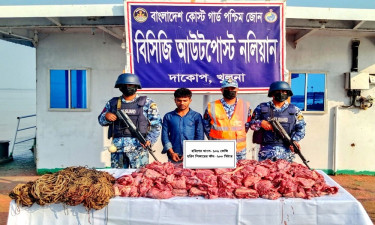১০৬ কেজি হরিণের মাংসসহ শিকারি আটক