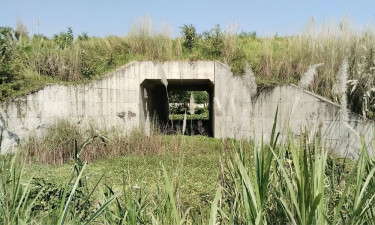 রেল প্রকল্পের কালভার্টে মুখ বন্ধ, শিবচরে ১৫০ একর জমি ৪ বছর পানিবন্দি