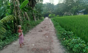 কমলনগরে দীর্ঘ ৪০ বছরেও পাকা হয়নি সড়ক