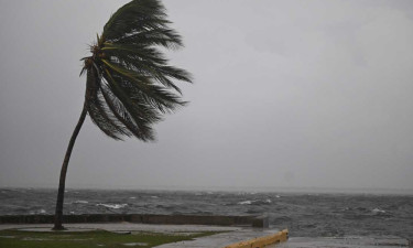 হারিকেন মেলিসার তাণ্ডবের পর জ্যামাইকায় কুমিরের হামলার আতঙ্ক