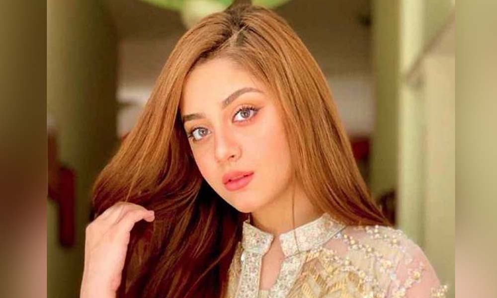 লজ্জায় পড়ে সব ছবি-পোস্ট ডিলিট করে দিলেন পাকিস্তানি অভিনেত্রী