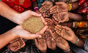 ডিসেম্বরের মধ্যে খাদ্যসংকটে পড়তে যাচ্ছে দেড় কোটি মানুষ