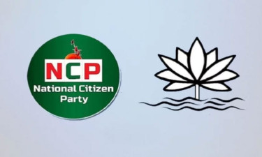 কলি নয়, ‘শাপলা’ প্রতীক চায় এনসিপি