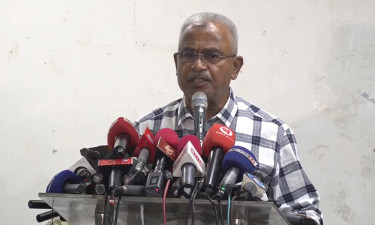 বিএনপি অর্জুন গাছের ছাল, যখন যার প্রয়োজন কেটে নিয়ে যায়: আলাল