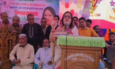 বিএনপি ছাড়া জামায়াত ও এনসিপি নির্বাচন চায় না: রুমিন ফারহানা