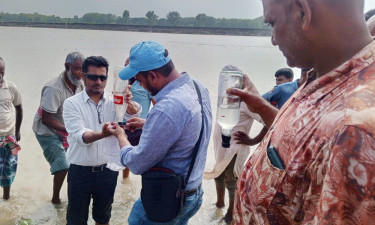 পদ্মাপাড়ে মিথেন গ্যাসের উপস্থিতি পেল বাপেক্স