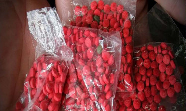 ঢাকা বিমানবন্দরে ৬ হাজার ৩৭৮ পিস ইয়াবাসহ আটক ১