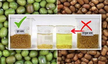 রং মেশানো ডাল আমদানি ও বিক্রিতে নিষেধাজ্ঞা