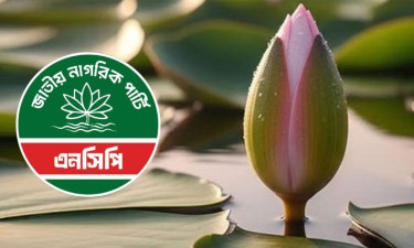 শাপলা কলি প্রতীকেই রাজি এনসিপি, প্রার্থী দেবে ৩০০ আসনে