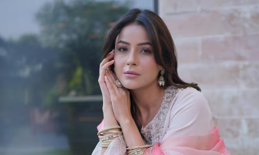 প্রেমের স্মৃতি এখনও জীবন্ত, বিয়ে নিয়ে কী ভাবছেন শেহনাজ?