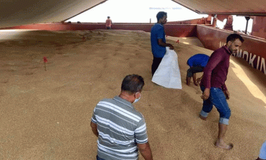 যুক্তরাষ্ট্র থেকে চট্টগ্রাম বন্দরে পৌঁছেছে ৬০ হাজার টন গম