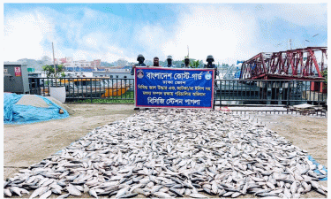 নারায়ণগঞ্জ-মুন্সিগঞ্জে কোস্ট গার্ডের অভিযান: সাড়ে ৫ হাজার কেজি জাটকা জব্দ