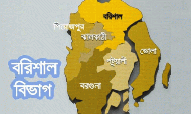 বরিশালের ১৬টি আসনে ধানের শীষের মনোনয়ন পেলেন যারা