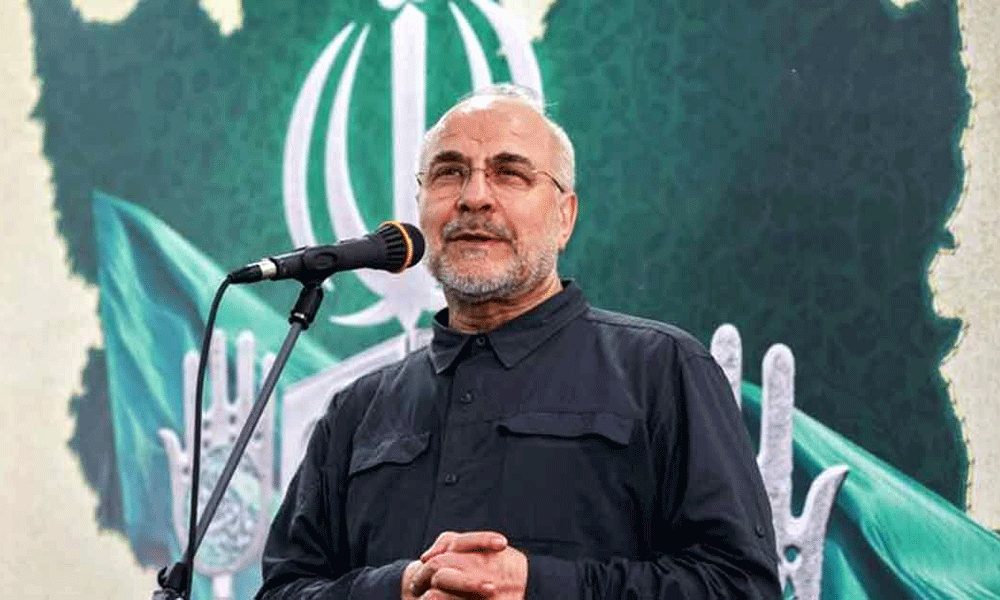 বিদেশি আধিপত্যের কাছে নত নয় ইরান: ইরানের স্পিকার