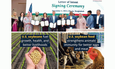 বাংলাদেশ–যুক্তরাষ্ট্র সয়াবিন চুক্তি: তিনগুণ বাড়বে আমদানি