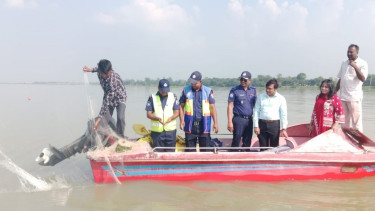 সাত দিনে ২ কোটির বেশি অবৈধ জাল জব্দ, গ্রেপ্তার ৩১০