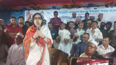 যোগ্য প্রার্থীকেই বিএনপি মনোনয়ন দেবে: রুমিন ফারহানা