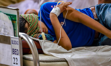 এ বছর ডেঙ্গুতে মৃতদের অর্ধেকই তরুণ