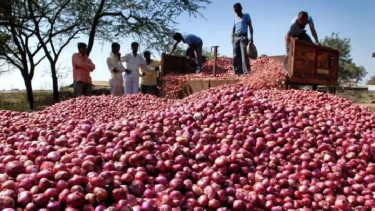 চলতি সপ্তাহে দাম না কমলে পেঁয়াজ আমদানির অনুমোদন