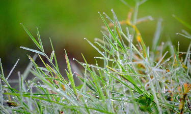 পঞ্চগড়ে শীতের আগমনী বার্তা, তাপমাত্রা নামল ১৪ ডিগ্রিতে