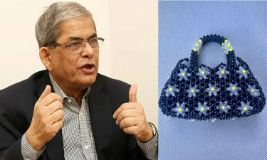 নিরপরাধ মানুষকে হয়রানি করার নাম রাজনীতি না: মির্জা ফখরুল