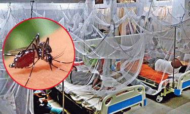 ডেঙ্গুতে আরও ৫ মৃত্যু, হাসপাতালে নতুন ভর্তি ১১৩৯ জন