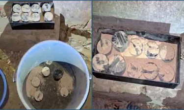 মোহাম্মদপুরে গোপন ককটেল কারখানার সন্ধান, ৩৫ ককটেল উদ্ধার