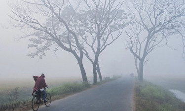 পঞ্চগড়ে ঝরছে কুয়াশা, তাপমাত্রা ১৪.২ ডিগ্রি